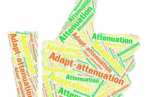 Article : De l’ « adapt-atténuation » à l’ « adapténuation » : adaptation du concept (2)