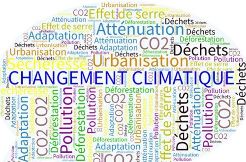 Article : Changement climatique, de biens gros mots (maux) !